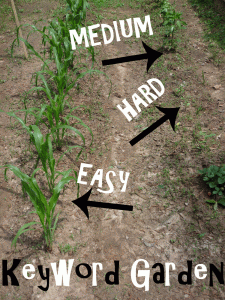 SEO Keyword Garden